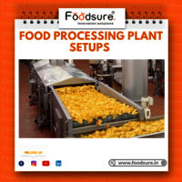 Food Processing Consultant