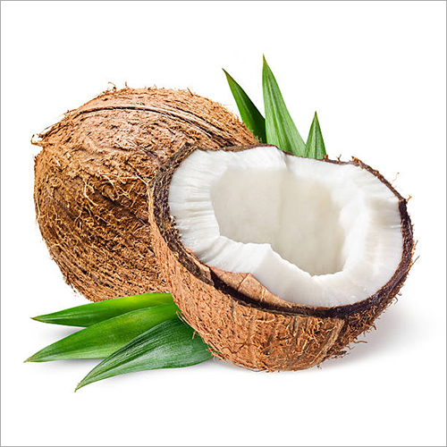 Light Brown And Green Fresh Coconut