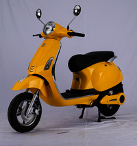 Electric Scooter--Tesla