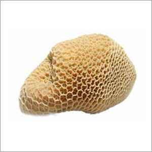 Buffalo Honeycomb