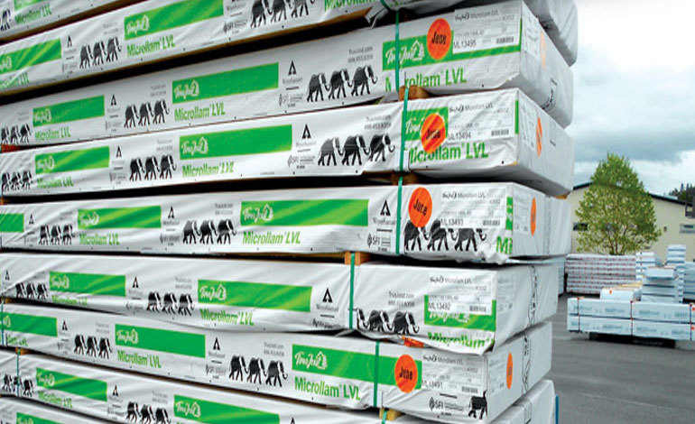 Tarpaulin Sheet