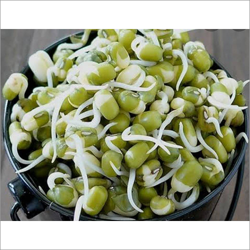 Green Moong Sprout