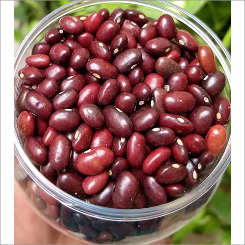 Red Kidney Beans By ALPENNO PULSES PRIVATE LIMITED