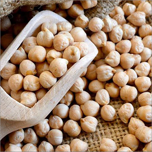 White Chickpea By ALPENNO PULSES PRIVATE LIMITED