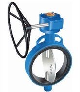 Butterfly Valves