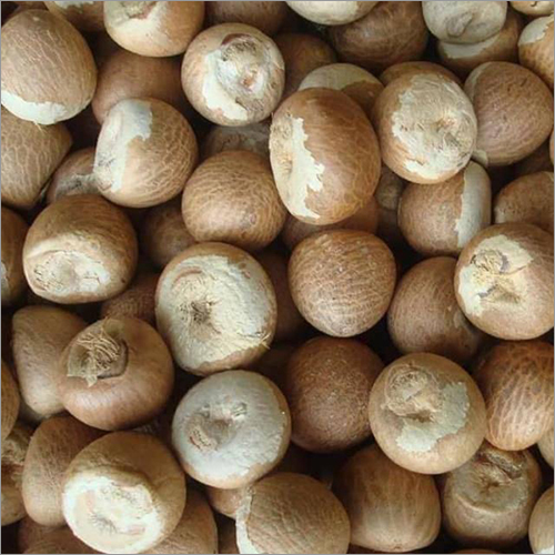 Organic Areca Nut