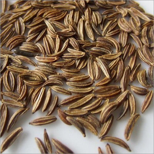 Caraway Seeds (Shahi jeera)