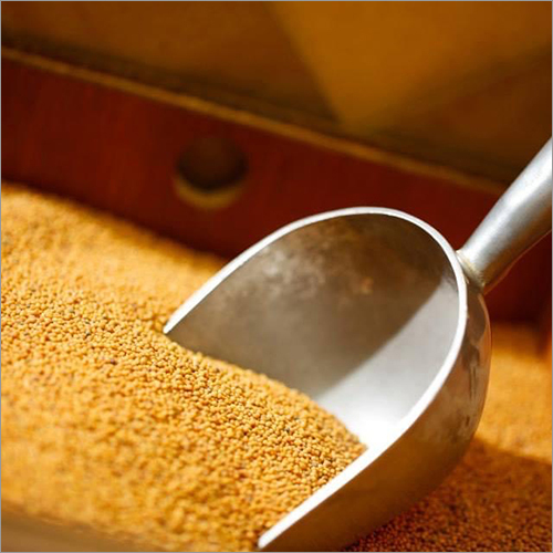 Pili Rai (Yellow Mustard seeds) (Pili Sarso)
