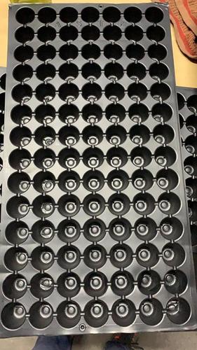 Black Seedling Tray