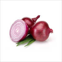 Fresh Red Onion