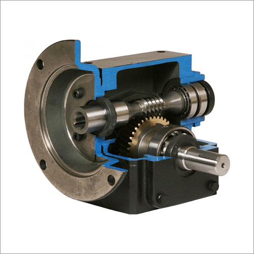 Worm Gear