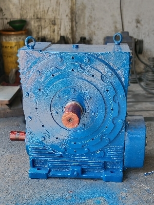 Worm Gear - Stainless Steel, 1400 RPM Input Speed , 230 Volt Voltage Rating, Any Color Customization
