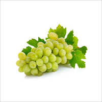 Fresh Grapes