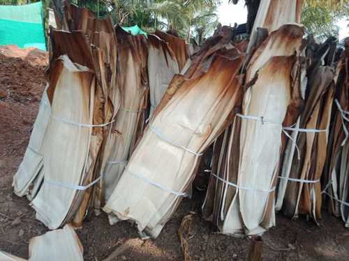 Areca Leaf Supplier in Kangayam