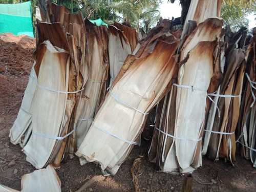 Areca Leaf Supplier in Thanjavur