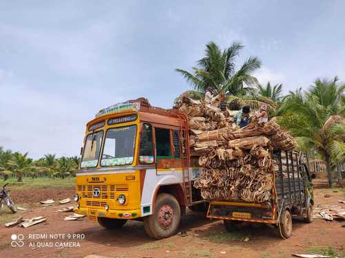 Areca Leaf Supplier in Tiruvannamalai