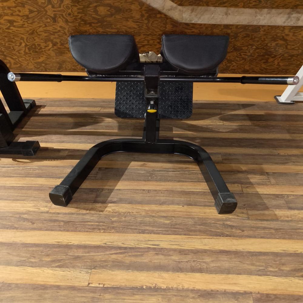 Gym Hyper Extension - Ms Mild Steel, Adjustable Black Design | Commercial Use, Muscle Gain, Mid Back Strengthening