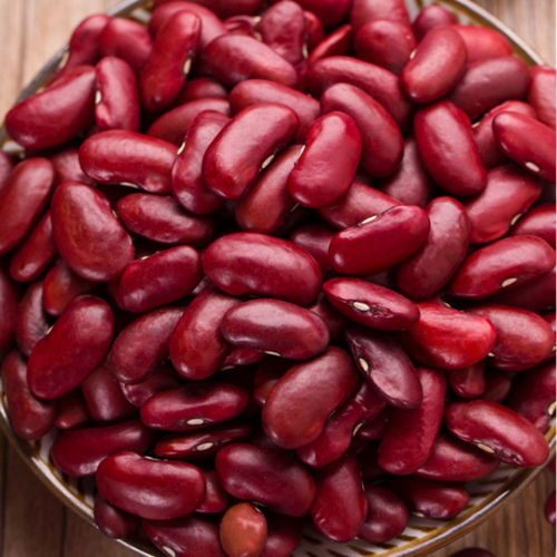 Red Kidney Beans Long Shape for Sale