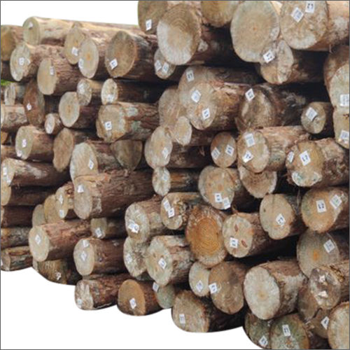 High Quality Round Pine Brown Wood Log