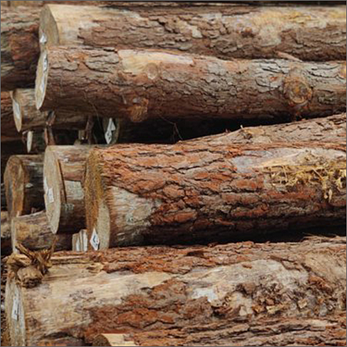 High Quality Pine Timber Wood Log