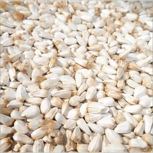 Safflower Seed By GG IMPORT AND EXPORT