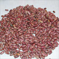 Red Speckled Kidney Bean