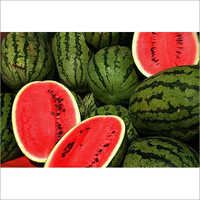 Fresh Watermelon