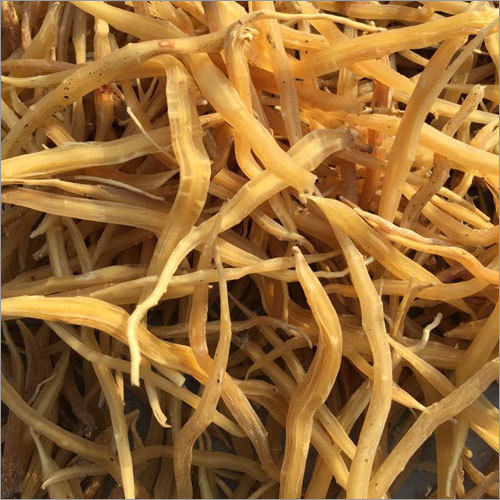 Herbal Shatavari Root