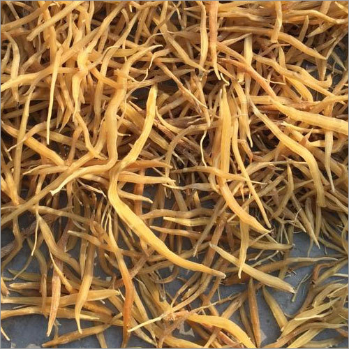 Ayurveda Shatavari Root