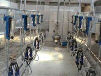 Milking Parlour