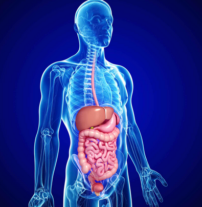 Gastro enterology