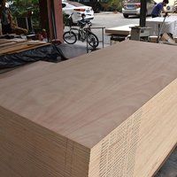 15mm 18mm Birch Plywood Plywood