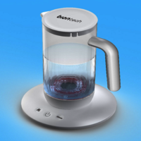 Hydrogen Water Generator
