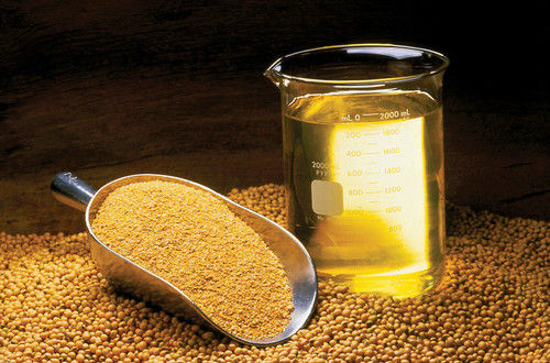 Soybean Oil