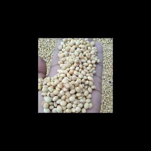 Soya beans