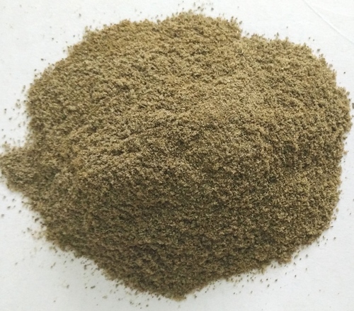 Cold Dried Rosemary Powder By AUM AGRI FREEZE FOODS