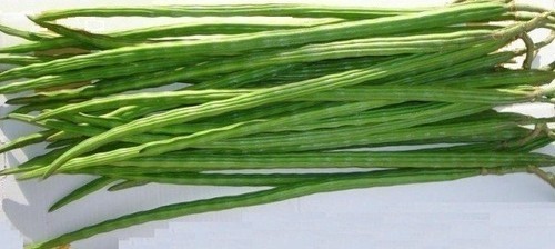fresh drumstick