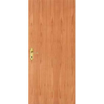 PVC Flush Door