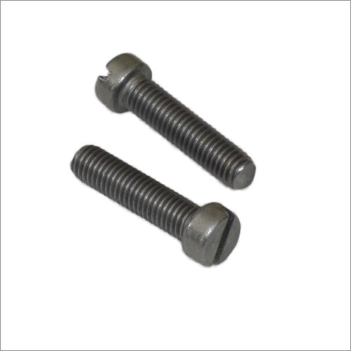 Stainless Steel Slotted Cheese Head Screw