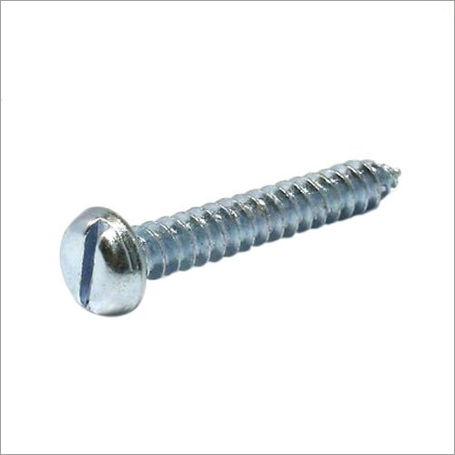 SS304 Slotted Head Screw