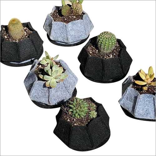 Verticle Hanging Grow Bags Pots