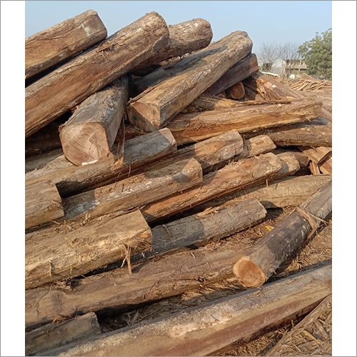 Solid Ecuador Teak Wood Log