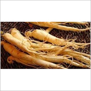 Natural Ginseng Essential Oil