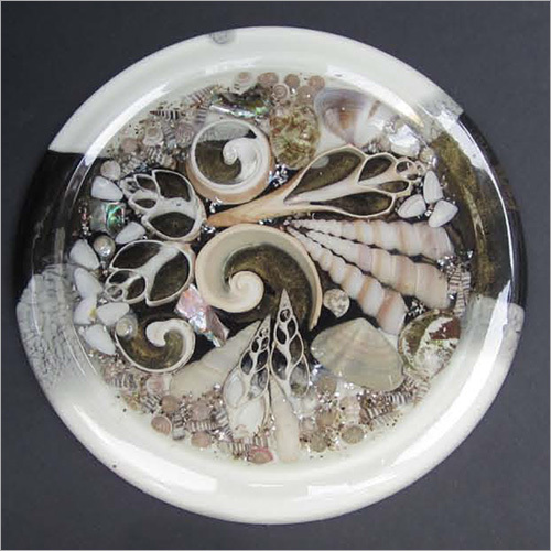 Fancy Seashell Hot Plate