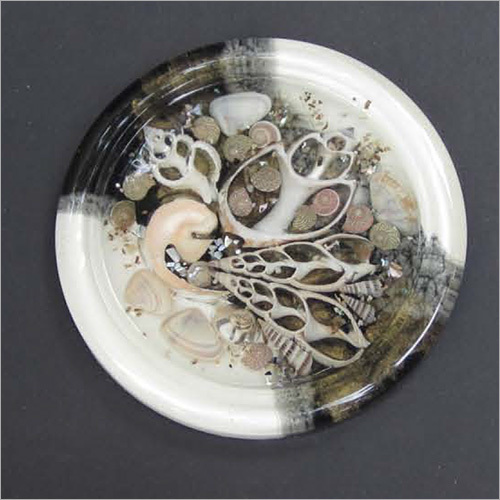 Round Seashell Tea Coaster