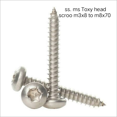 SS Toxy Head Screw