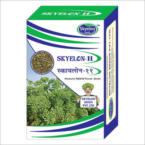 Hybrid Fennel Seeds By SKYELON SEEDS PVT. LTD.