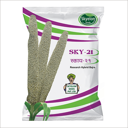 Hybrid Bajra Seeds
