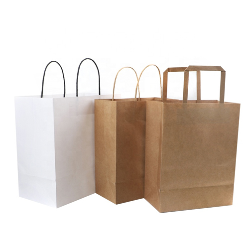 Paper Twisted handle & flat handle bags