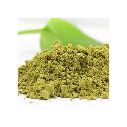 Tulips Dried Tulsi Leaves Powder